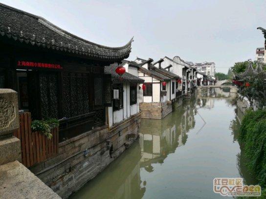 春雨直播app